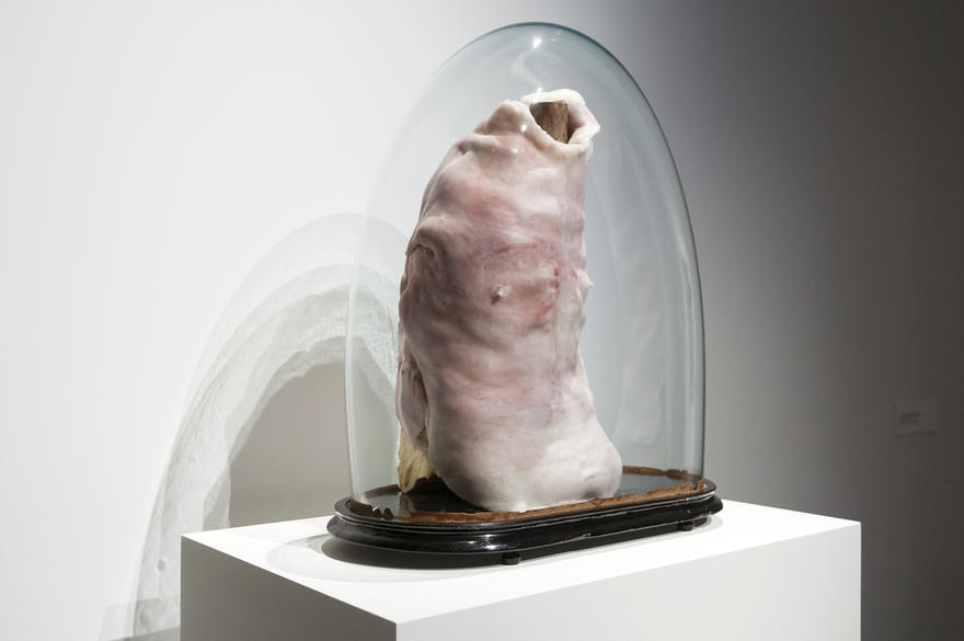 Parcum, tentoonstelling: This is not a collection